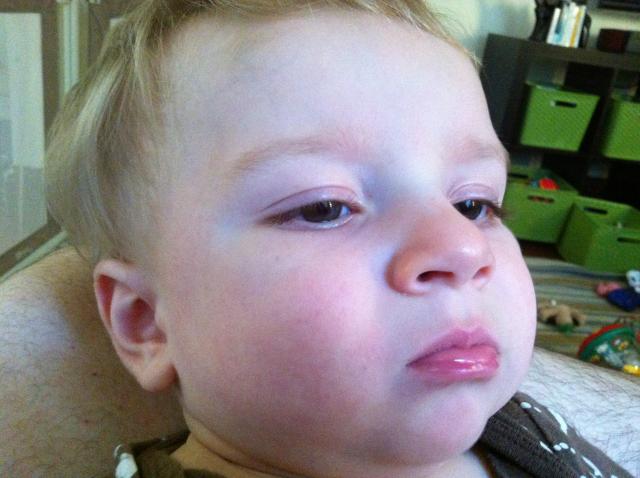 2012-08-06 07.41.56.jpg