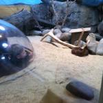 2013-05-20 10.18.32.jpg