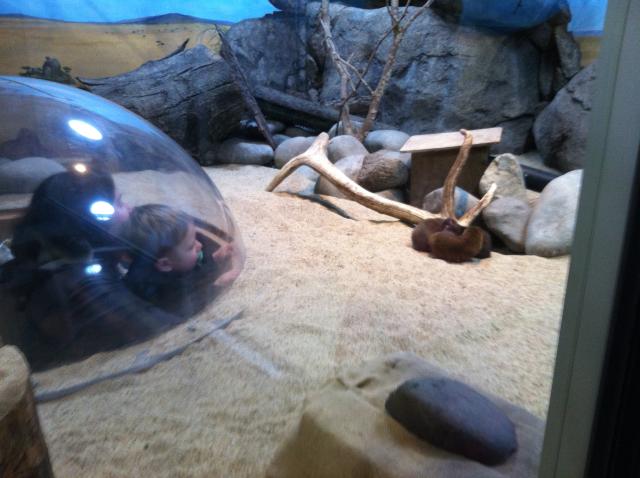 2013-05-20 10.18.32.jpg