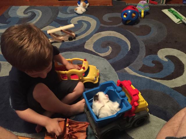 2015-06-09 19.09.37.jpg