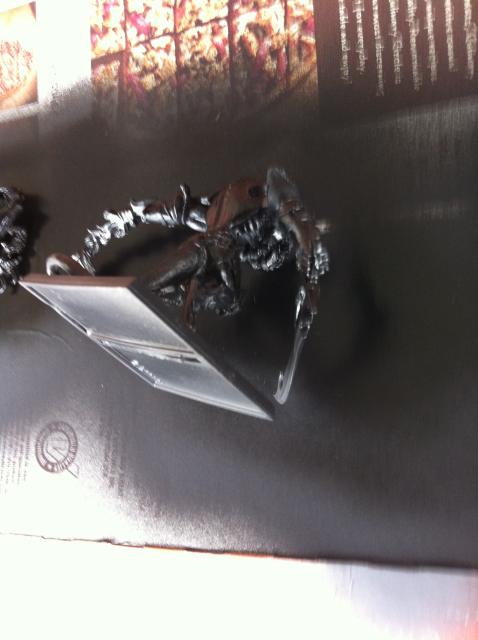 2013-11-17 12.30.50.jpg