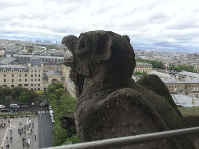 2015-05-03 14.44.35 HDR.jpg