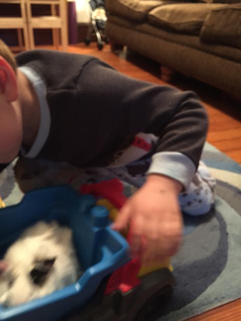 2015-06-02 19.56.56.jpg