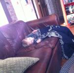 2013-04-05 17.10.40.jpg