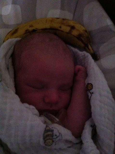 2014-01-29 13.05.12.jpg