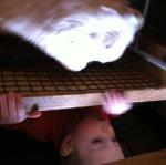 2014-03-29 11.36.02.jpg