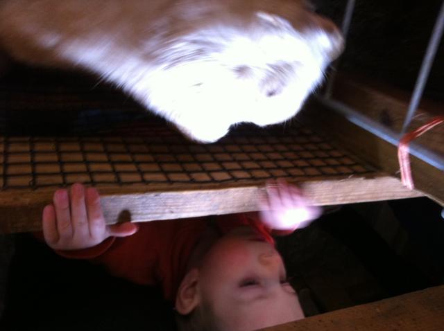 2014-03-29 11.36.02.jpg