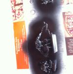 2013-11-17 12.19.33.jpg