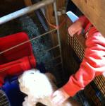 2014-03-29 11.36.13.jpg