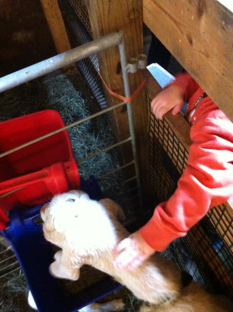 2014-03-29 11.36.13.jpg