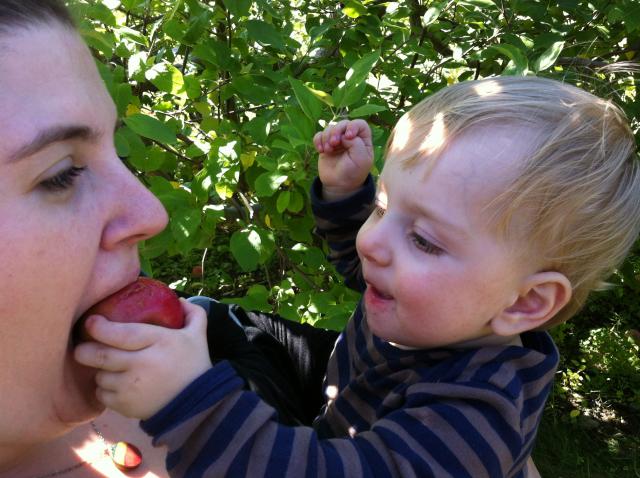 2012-09-22 14.06.42.jpg