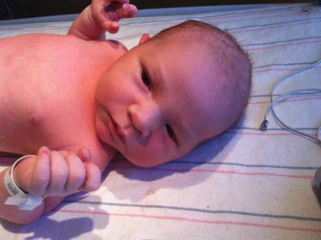 2014-01-24 11.30.49.jpg