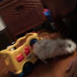 2015-06-01 19.19.45.jpg