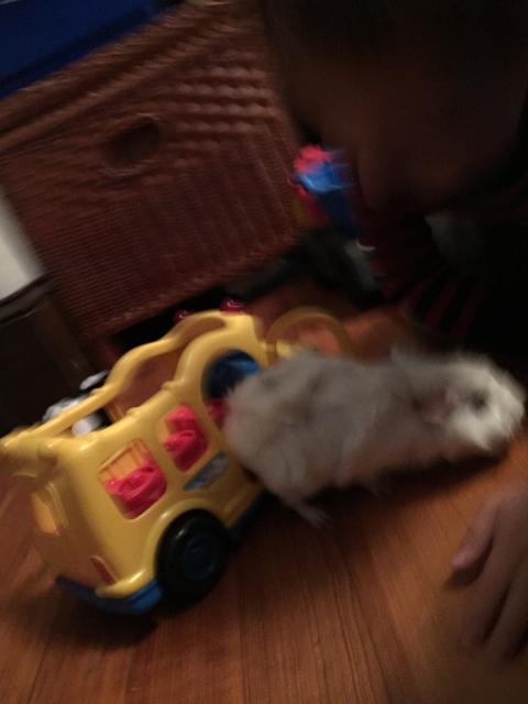 2015-06-01 19.19.45.jpg