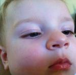 2012-08-06 07.42.20.jpg