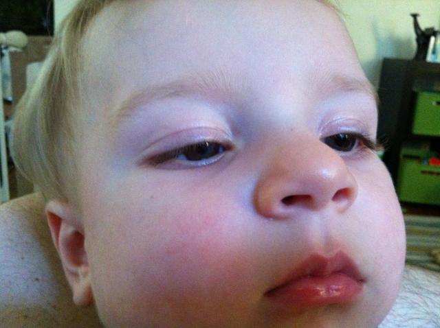 2012-08-06 07.42.20.jpg