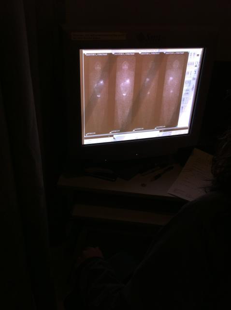 2014-11-06 08.49.16.jpg