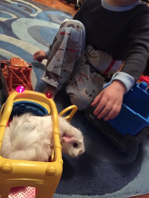 2015-06-02 19.54.29.jpg