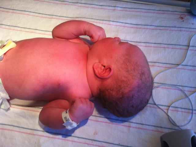 2014-01-24 11.29.13.jpg