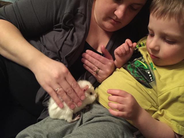 2015-03-08 19.32.35.jpg