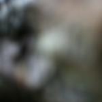 2013-05-31 19.31.33.jpg