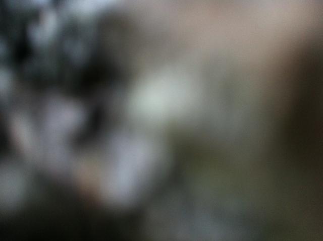 2013-05-31 19.31.33.jpg