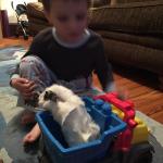 2015-06-02 19.57.48.jpg