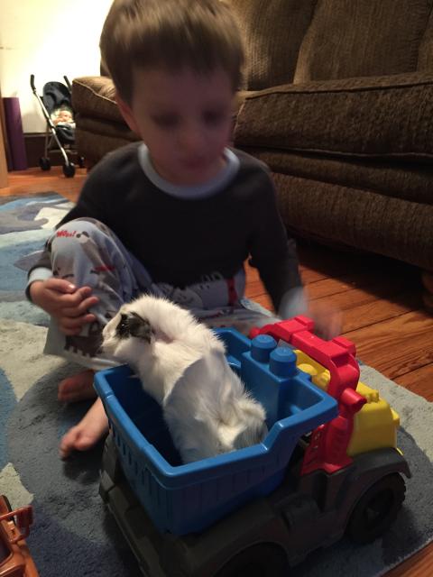 2015-06-02 19.57.48.jpg