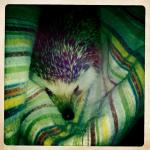 2010-12-06 22.46.18.jpg