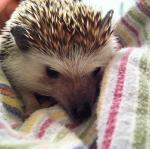 2011-05-22 21.35.19.jpg