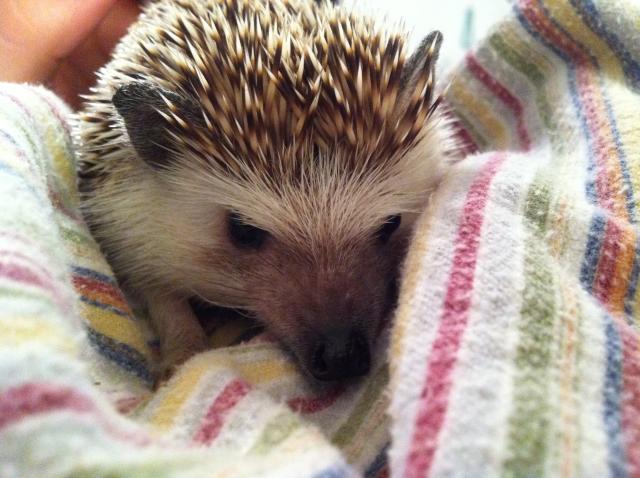 2011-05-22 21.35.19.jpg