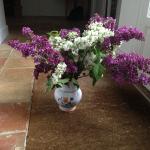 lilacs from Dominique and Jacques