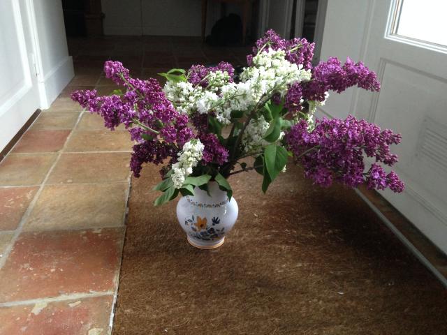 lilacs from Dominique and Jacques