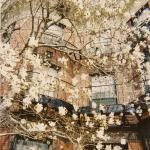 179 Bay State Rd SED House May 2003