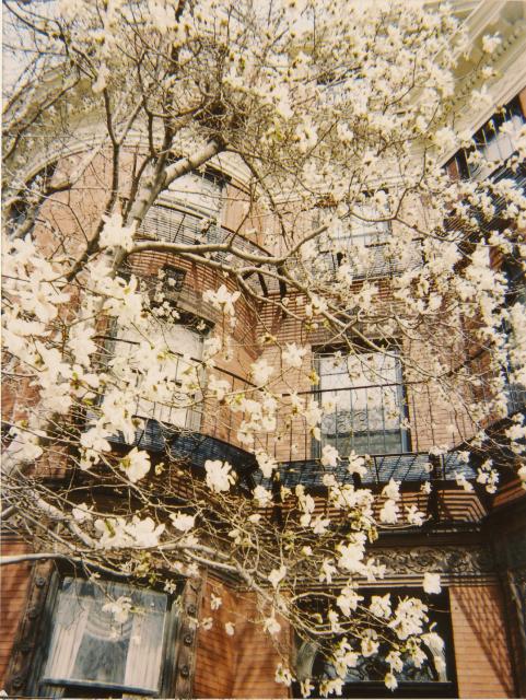 179 Bay State Rd SED House May 2003