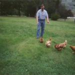 dad chasing chickens Aug 04