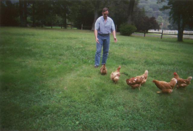 dad chasing chickens Aug 04