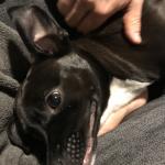 2018-01-14 creepy smile