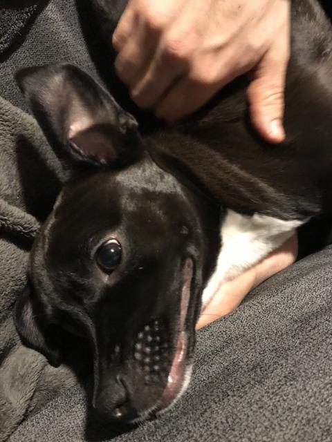 2018-01-14 creepy smile