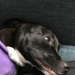 2018-03-02 Lana smile