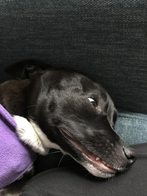 2018-03-02 Lana smile