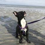 2018-02-21 first beach trip - Wingaersheek