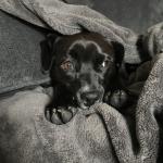 2018-03-30 watching Jumanji