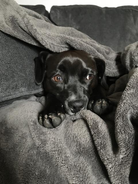 2018-03-30 watching Jumanji