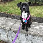 30127743_10157457605202178_4971082293276835840_n