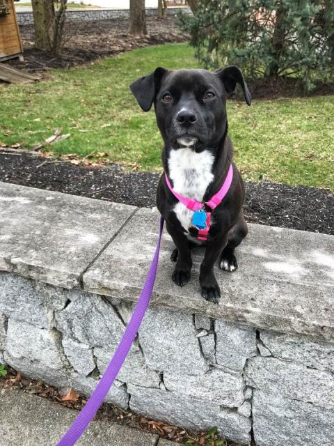 30127743_10157457605202178_4971082293276835840_n