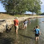 2018-08-03 Lana and Rosalita swimming together