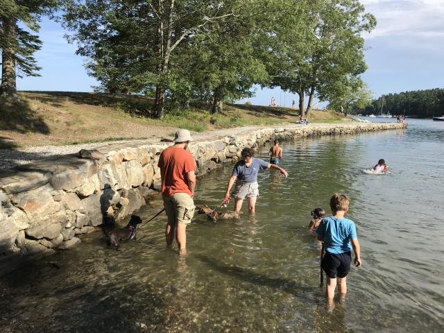 2018-08-03 Lana and Rosalita swimming together
