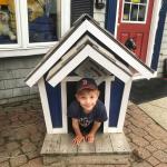 2019-06-16 19.35.21-1