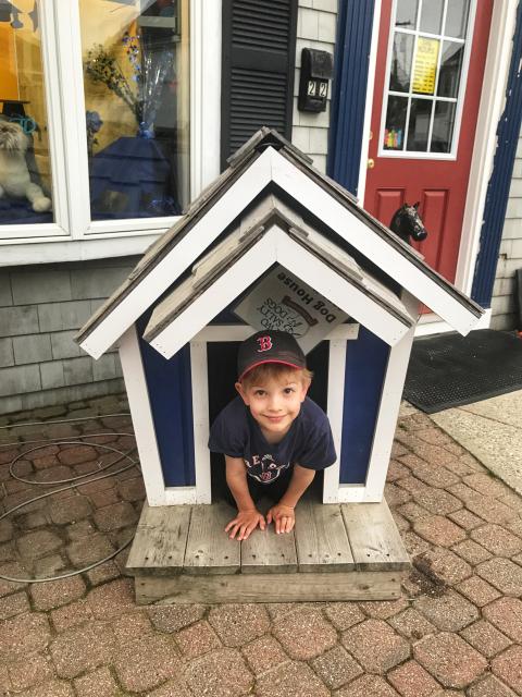 2019-06-16 19.35.21-1